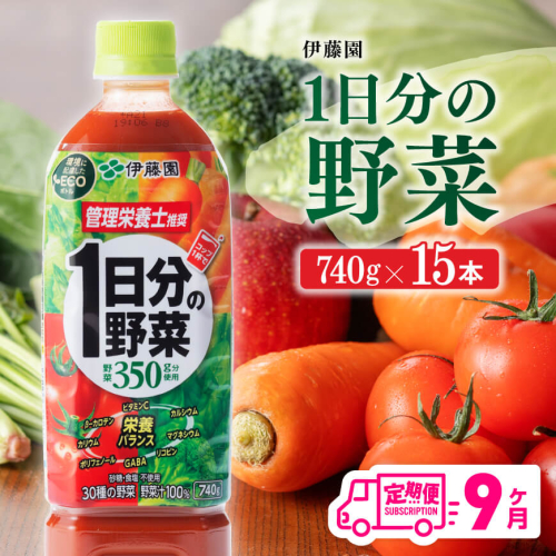 【９ヶ月定期便】 伊藤園 １日分の野菜ペットボトル 740g×15本 野菜ジュース 【 飲料類 ソフトドリンク 野菜ジュース 全9回 】 宮崎県川南町