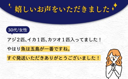 旬の地魚セット（エラ・内臓処理済）鮮魚 魚介 刺身 五島市 / 五島FF [PBJ010]