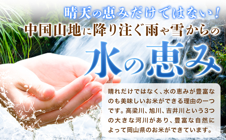  【3ヶ月定期便】晴れの国岡山の無洗米 20kg 岡山県産 矢掛町《申し込み翌月から発送》米 コメ