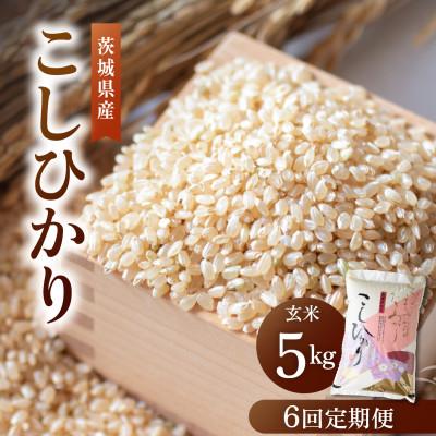 ふるさと納税 かすみがうら市 【毎月定期便】こだわりのコシヒカリ 玄米 5kg | 茨城県全6回