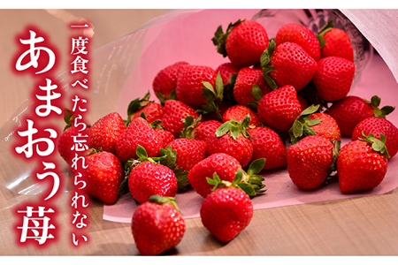 【先行予約】糸島産【冬】 あまおう 2パック 【2024年12月上旬以降順次発送】 《糸島》【南国フルーツ株式会社】 [AIK007]  いちご 苺 イチゴ あまおう 果物 フルーツ ストロベリー グ