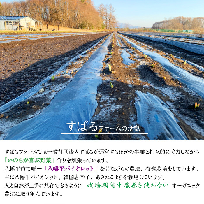 すばるファームの黒にんにく150g ／ ニンニク 大蒜 オーガニック 八幡平バイオレット 数量限定