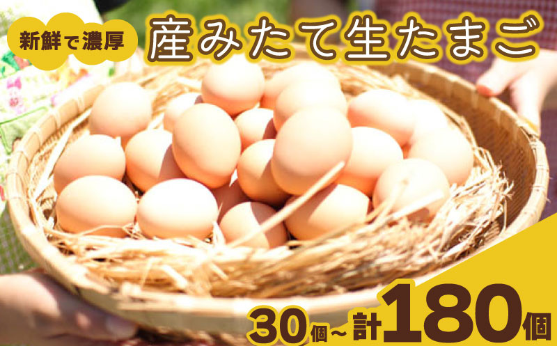 
たまご 卵 定期便 3ヶ月～6ヶ月 30個 × 3ヶ月～6ヶ月 or 単回 30個 ( 26個 ＋ 割れ保障 4個 ) お届け 玉子 産みたて たまご 鶏卵 卵料理 生卵 玉子焼き 国産 玉子 新鮮 卵かけご飯 大容量 生 卵 鶏 天然 すき焼き 目玉 焼き おかず お弁当 下関 豊北 山口
