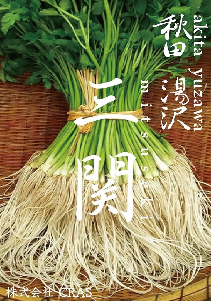 
            ＼TV青空レストランに登場／ 贅沢 三関産 せり鍋セット 3～4人前 (せり1kg 比内地鶏鍋つゆ 稲庭うどん 生麺 ) 生産者直送 ご自宅で絶品の せりしゃぶ が楽しめる せり鍋 ふるさと納税 せり 鍋 鶏 ふるさと 人気 ランキング [B7-10901]
          