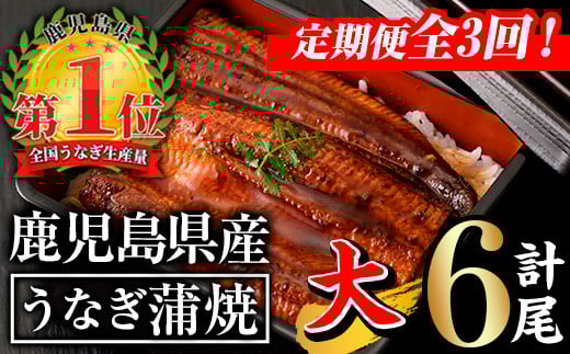 【定期便全3回】無投薬！鹿児島県産うなぎ蒲焼セット＜上＞(計840g以上・140g以上×2尾×3回) タレ・山椒付き 鰻 ウナギ 国産【西日本養鰻】T26
