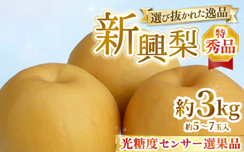 【先行予約】上野梨園の特選大玉 新興梨『特秀品』選び抜かれた逸品 3kg 光糖度センサー選果品 梨園直送！ / 期間限定 果物 フルーツ 農家直送 シャキシャキ もぎたて 旬 お取り寄せ ※2026年10月中旬より順次発送 [aw077-a030]