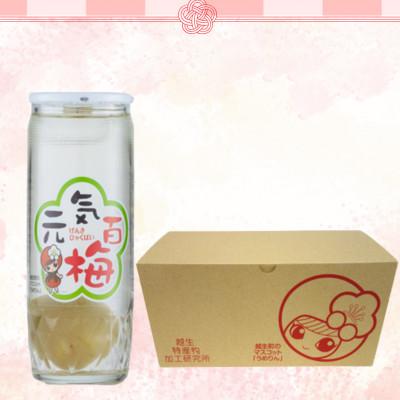 ふるさと納税 越生町 元気百梅　10本入り |  | 01