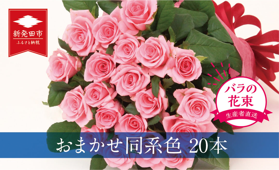 
生産者直送！バラの花束 お任せ同系色20本 【 バラ 生花 花束 フラワーアレンジメント 記念日 母の日 父の日 ギフト プレゼント 花 20本 同色系 G02_01 】
