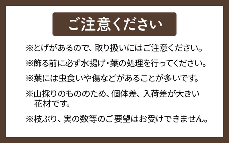 【先行予約】季節の花材 栗枝 1本（約35～38cm）【2025年9月下旬以降順次発送】/ 奥能登 能登半島 フラワーアレンジ ブーケ 花束 生け花 華道 花 お花 能登栗 栗 くり 送料無料