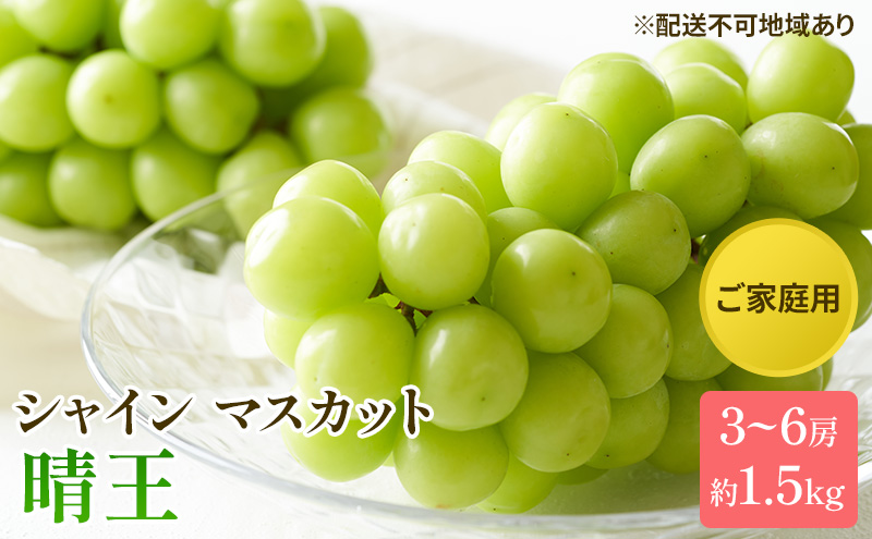 ぶどう 2025年 先行予約 ご家庭用 シャイン マスカット 晴王 3～6房 約1.5kg ブドウ 葡萄  岡山県産 国産 フルーツ 果物