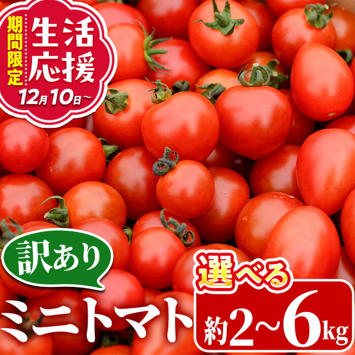 【ふるさと納税】＜先行予約受付中！2026年2～3月の間に発送予定＞＜内容量が選べる！＞ 訳あり 規格外 数量限定 門川町産 ミニトマト (計2～6kg) 期間限定 生活応援 フルーツトマト とまと 野菜 ミックス 生 旬野菜 冷蔵【X-9・X-10・X-11・X-8】【いけとも農園】