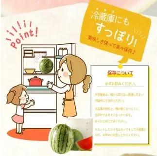 紀州和歌山産 小玉スイカ「ひとりじめ」 1玉 ※2027年5月下旬頃〜6月下旬頃順次発送予定 【uot402-r-1】