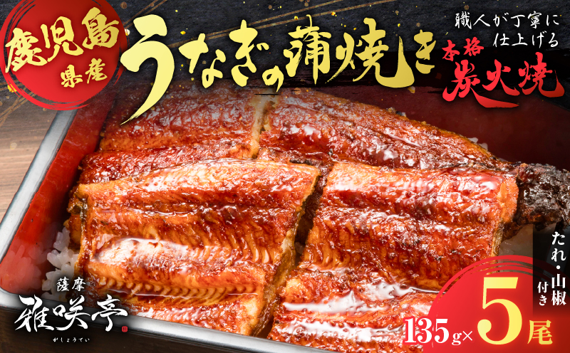 職人が丁寧に仕上げる本格炭火焼 鹿児島県産うなぎの蒲焼き 5尾　K282-001_02