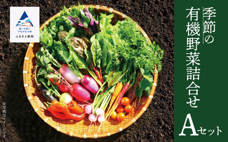 季節の有機野菜詰合せ Aセット 有機野菜 有機野菜 有機野菜 有機野菜 有機野菜 有機野菜 有機野菜