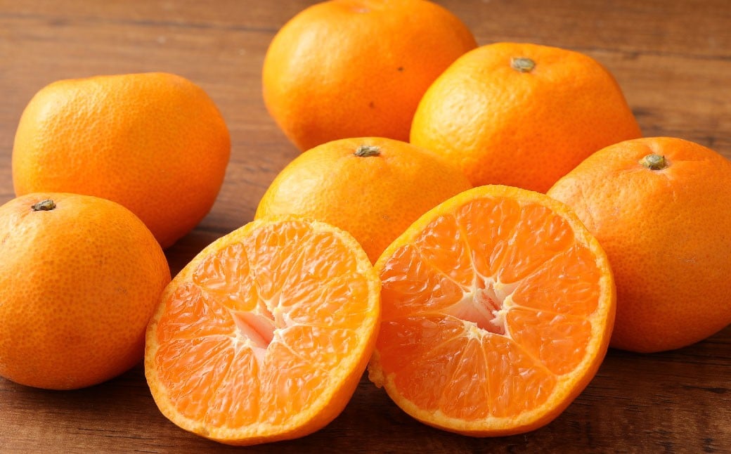 特選 みかん 5kg 糖度保証 12度！