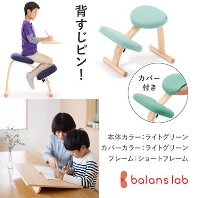 ふるさと納税 美濃市 バランスイージー ショート[ライトグリーン]カバー付+イージーライティングボードM【複数個口で配送】