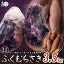 【ふるさと納税】ふくむらさき (紫さつまいも)　3.5kg 【期間限定・先行予約・12月10日まで】※12月下旬～1月上旬頃に順次発送予定 / 希少品種 紫芋 サイズ混在 冬の味覚 旬 甘い 希少 田辺市 和歌山