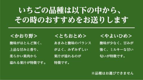 【2ヵ月 定期便】 完熟 いちご 定期便！ 4パック × 2回 合計 8パック （1P260g） 定期便 国産 いちご イチゴ 苺 果物 かおり野 とちおとめ やよいひめ フルーツ 茨城県産 KEK 