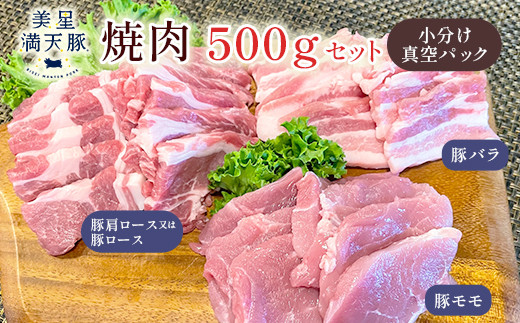 美星満天豚 焼肉 500gセット（豚肩ロース又は豚ロース、豚バラ、豚モモ）小分け真空パック