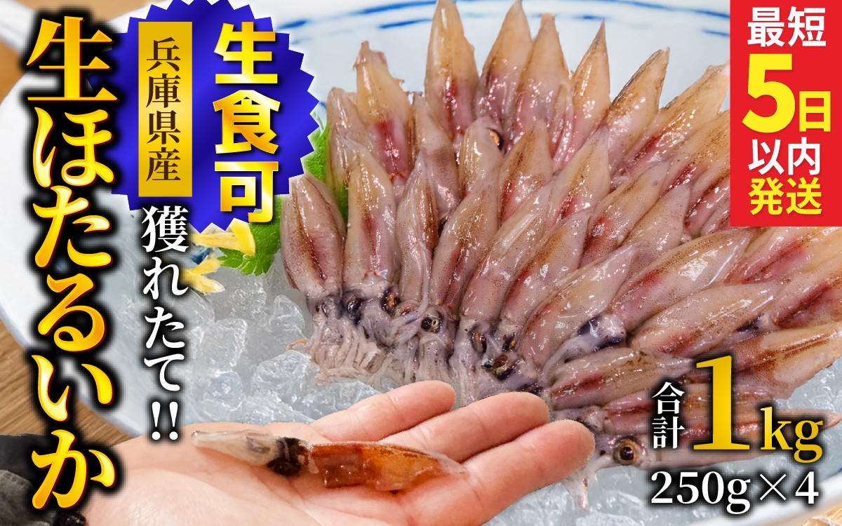 
                  【生食可】 冷凍 生ほたるいか 1kg 小分け 250g×4パック / ホタルイカ 兵庫県 いか 生ほたるいか 浜坂港 真空パック 刺身 ボイル しゃぶしゃぶ 簡単調理 おもてなし 日本海 魚介類 新鮮 海の幸
                