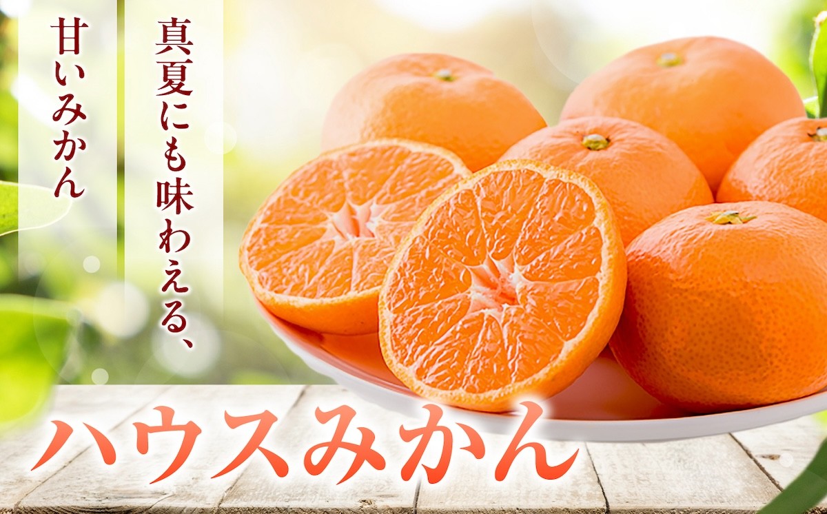 冷やしてさらにおいしく！暑い季節に楽しめるハウスみかん！