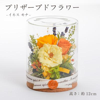 ふるさと納税 羽島市 プリザーブドフラワー ガラスケース入りアレンジ 【イネス モナ(イエロー)】