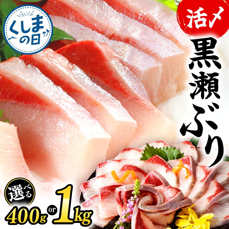 【ふるさと納税】【串間の日対象】高評価★4.86 冷蔵 活じめ！黒瀬ぶりの生鮮ブリロイン 2節~3節 400g 1kg 刺身 海鮮 海産物 魚 水産物 海鮮丼 年末 配送 年内 ぶりしゃぶ 生食 しゃぶしゃぶ 国産 ブリ 贈答用 ふるさと お刺身 食品 鮮魚 ランキング 人気 宮崎県 串間市