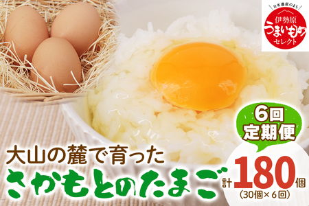 [定期便] たまご 合計180個 (30個×6回)｜坂本養鶏 大山の麓で育ったさかもとのたまご 赤玉卵 玉子 鶏卵 [0092]