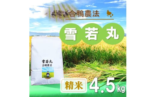 【令和7年産・精米】ecofarmすがわらの合鴨農法雪若丸4.5kg※10月下旬頃から順次配送