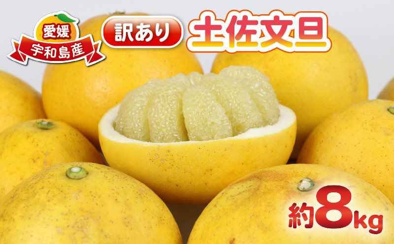 
            文旦 訳あり 土佐文旦 8kg  杉本屋  わけあり 訳あり品 ぶんたん 文旦 先行予約 果物 くだもの フルーツ 柑橘 蜜柑 みかん mikan ミカン 訳アリ 訳ありみかん ビタミン デザート 愛媛みかん  愛媛ミカン 愛媛県産 産地直送 農家直送 数量限定 国産 愛媛 宇和島 B010-143010
          