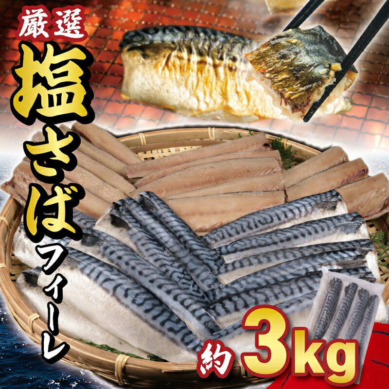 【ふるさと納税】 サバ 塩サバフィーレ 約 3kg ノルウェー産 冷凍 小分け さば 鯖 塩鯖 塩サバ フィーレ フィレ 切り身 切身 海鮮 魚 大容量 青魚 おかず 惣菜 魚介 魚貝 おつまみ 弁当 人気 グルメ お取り寄せ おすすめ 送料無料 ふるさと納税魚 千葉県 銚子市 大一奈村