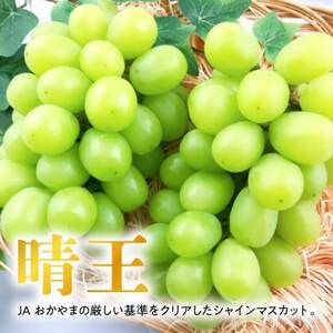 【2025年発送】岡山名産【晴王】シャインマスカット2kg!8月下旬以降順次発送【配送不可地域：離島】【1365277】