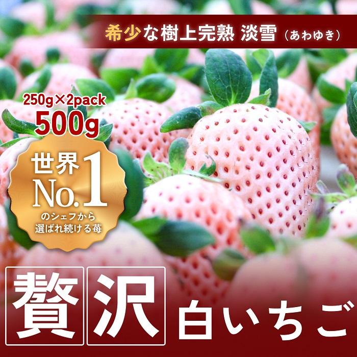 【ふるさと納税】【完熟クラフト苺BERRY】海外セレブ御用達【樹上完熟白いちご】淡雪（あわゆき）約500g（出荷2025年12月上旬～2026年5月下旬） | 食品 加工食品 人気 おすすめ 送料無料