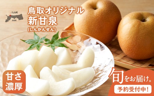 新甘泉梨（しんかんせんなし）（５ｋｇ）