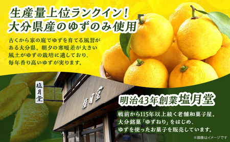 【別府限定】老舗和菓子店「塩月堂老舗」の塩月のゆずまん（8個入り）_B097-024-02
