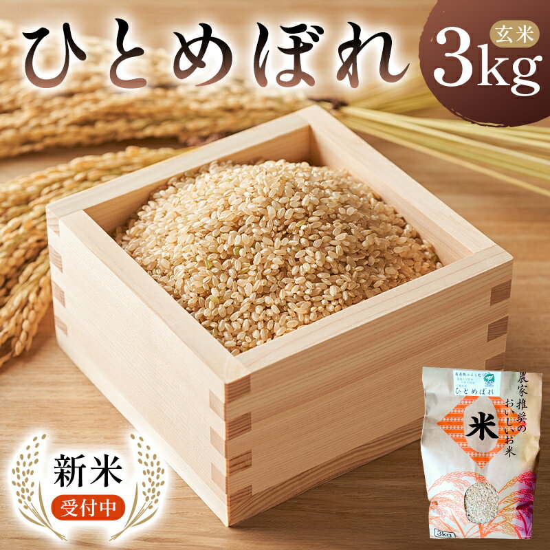 【ふるさと納税】【2025年9月中旬以降発送予定】ひとめぼれ玄米3kg【2025年産】 千葉県 南房総市 米 お米 玄米 ブランド米 ごはん おにぎり 食品 国産 国産米 お取り寄せ グルメ 送料無料