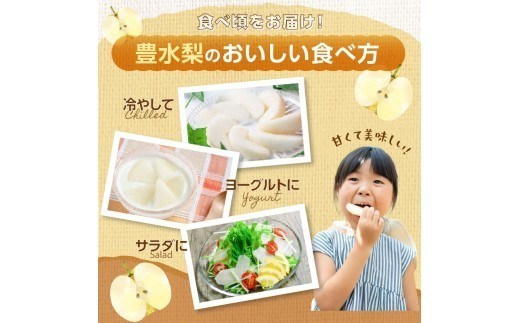 梨 梨 豊水 梨5kg