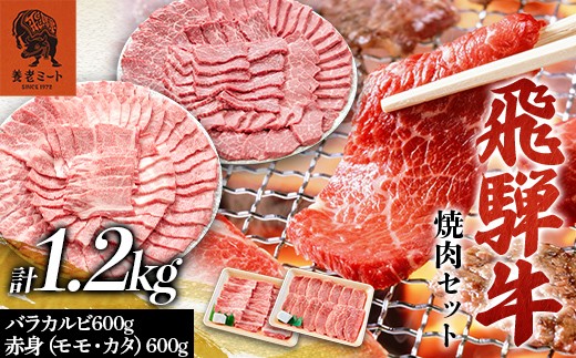飛騨牛 焼肉セット 1.2kg 焼肉 BBQ 牛肉 和牛 肉 霜降り バラカルビ 赤身 モモ カタ 詰め合わせ ギフト 御祝 内祝 6人前 大容量 岐阜県 坂祝町 養老ミート F6M-395