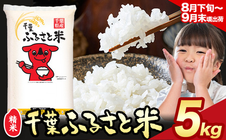 令和6年産 米 千葉 ふるさと米 5kg《8月下旬～9月末頃出荷》千葉県 勝浦市 米 白米 精米 国産 お米 おこめ お弁当 おにぎり こしひかり