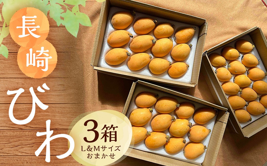 
                  【大人気！】 びわ L＆Mサイズ おまかせ 計3箱 【2026年5月上旬～6月上旬迄発送予定】 枇杷 果物 果実 フルーツ 九州 長崎県 長崎市 常温
                