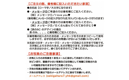 うちの子写真入りキーホルダー♪名前＆メッセージが入る！（デザインA） ブルー