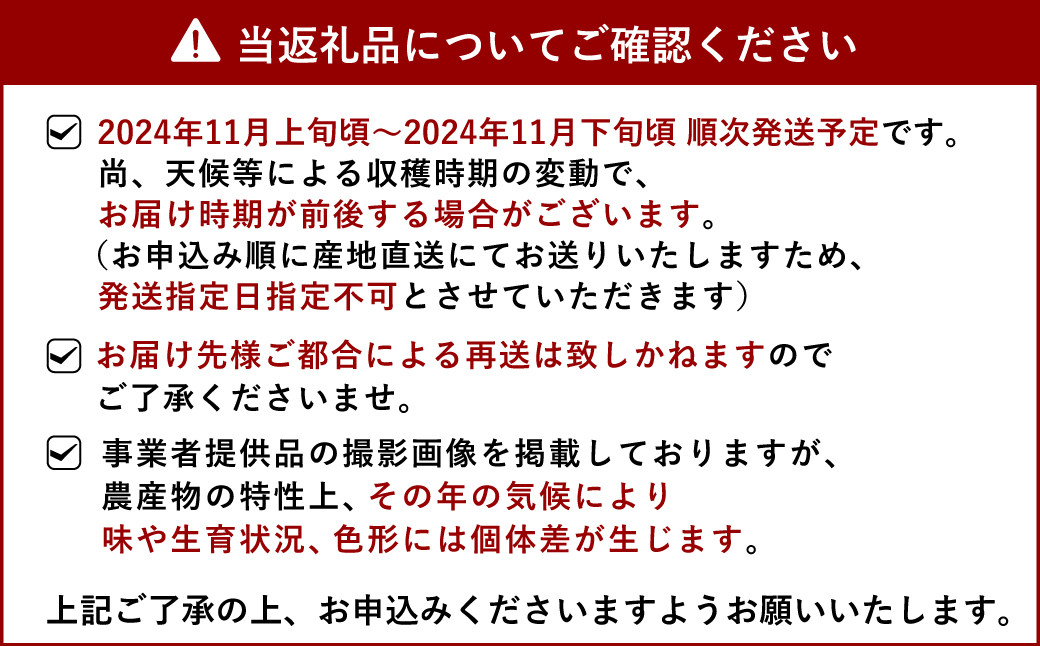 早生みかん（デリシャス）約5kg 【11月上旬から11月下旬発送予定】