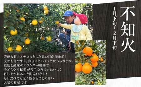 【年4回定期便】熊本の果樹園より産地直送！くまもとのイチオシフルーツ定期便 不知火 いちじく シャインマスカット みかん くだもの 果物 フルーツ しらぬい 柑橘 蜜柑 葡萄 ぶどう イチジク 熊本県