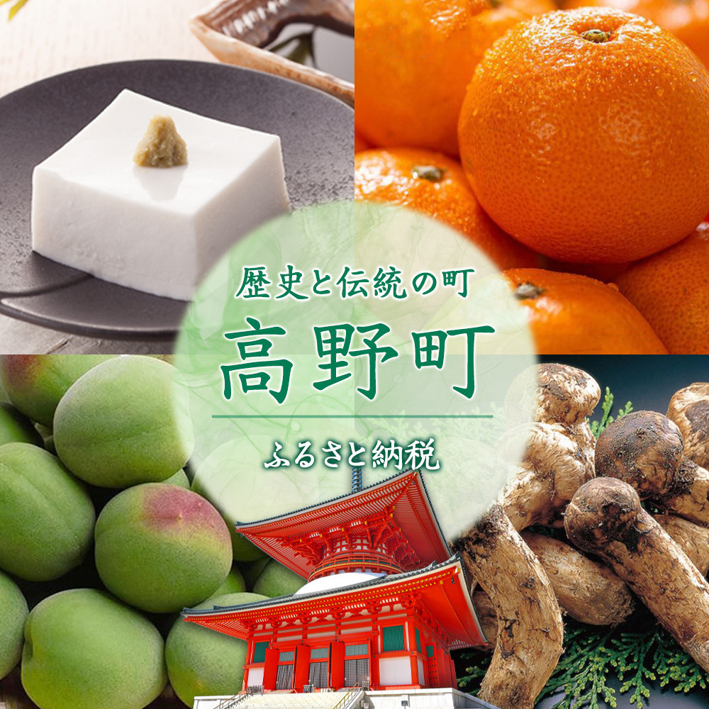 家庭用 冷凍梅 約1kg 紀州 南高梅 青梅 黄梅 完熟梅 訳あり［IKE331］