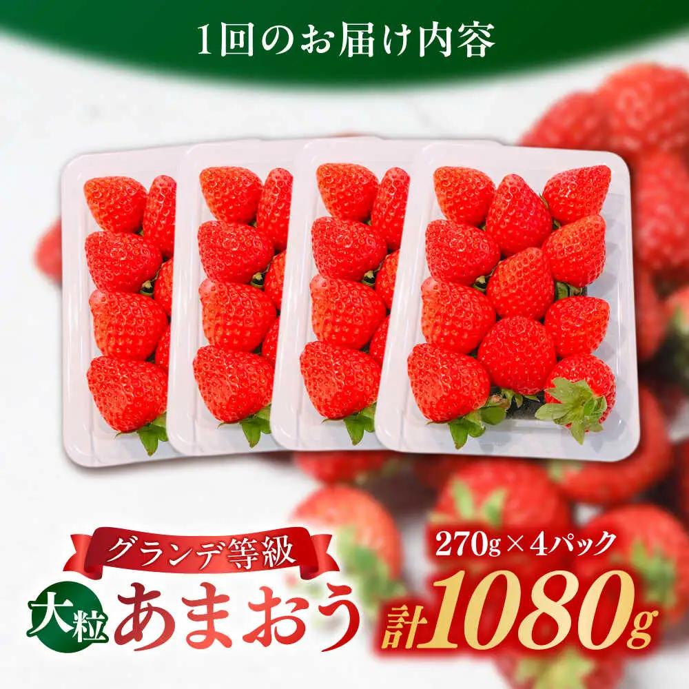 【全2回定期便】あまおう いちご 1080g[BGBQ003]