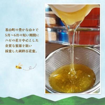 ふるさと納税 基山町 【毎月定期便】みよしの百花蜜 220g×3本全6回 |  | 02