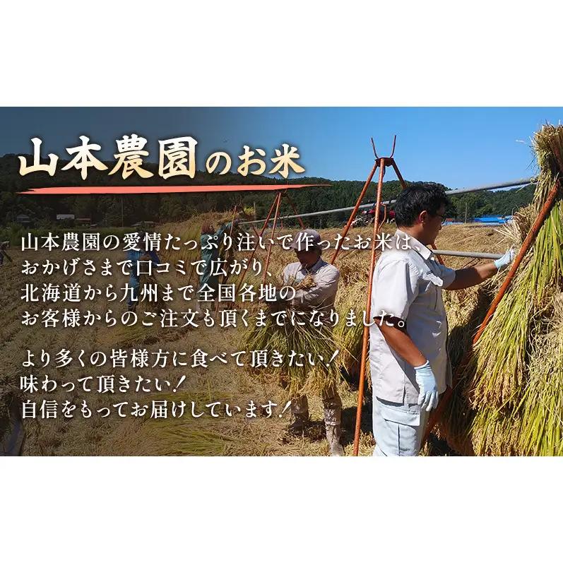 【先行予約】特別栽培米 イセヒカリ 5kg 山本農園 イセヒカリ