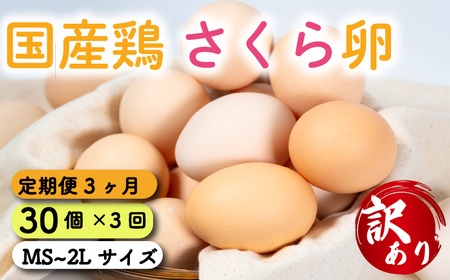 定期便 卵 30個 ( たまご 25個 + 割れ補償 5個 ) 3回 3ヶ月 定期便 国産 鶏 さくら 簡易包装 コクのある 濃い 風味 とれたて 生たまご 滋賀 地産地消 の 飼料米  産みたて 国産 新鮮 卵かけご飯 大容量 生 卵 鶏 天然 すき焼き 目玉 焼き 滋賀県 竜王町  鶏卵 生卵 産地直送                                                                                                      