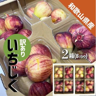 ふるさと納税 紀の川市 【訳あり】いちじく 紀の川市産 8パック