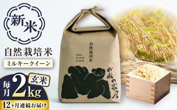 
            【新米：令和6年産】【全12回定期便】自然栽培 ミルキークイーン 2kg 玄米 ×12回　滋賀県長浜市/株式会社お米の家倉 [AQCP015] 米 定期便 玄米 新米 2kg
          